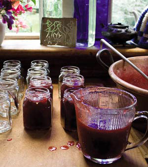 Rhubarb and Strawberry Spoon Jam